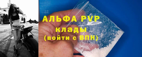 прущие грибы Беломорск