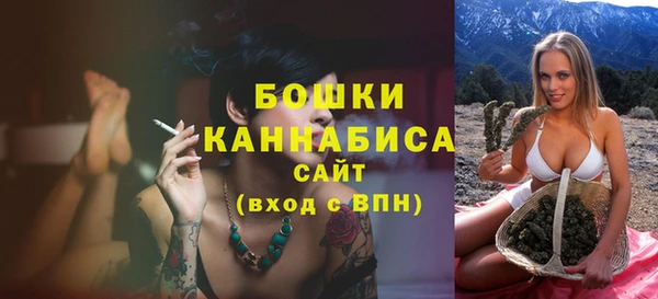 молекула духа Белоозёрский