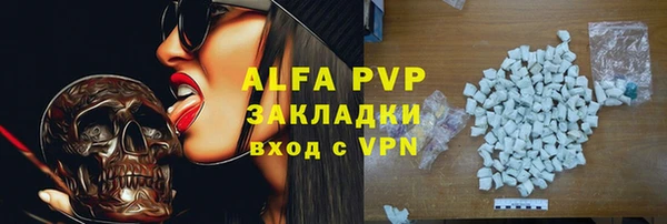 прущие грибы Беломорск