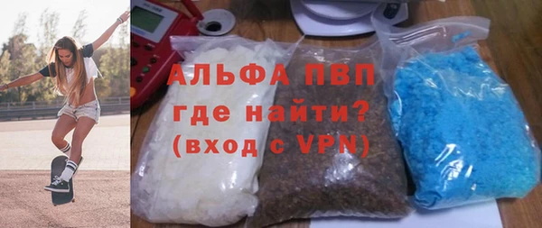 прущие грибы Беломорск