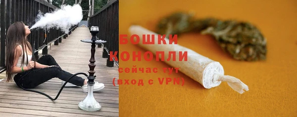 шишки Белокуриха