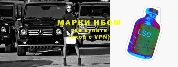 шишки Белокуриха