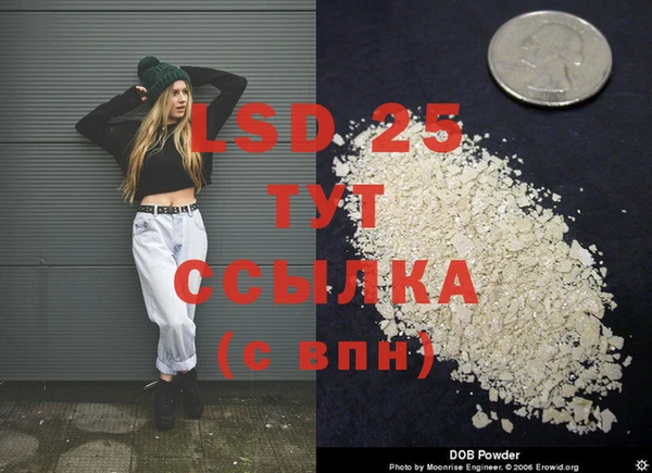 прущие грибы Беломорск