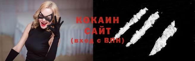 прущие грибы Беломорск