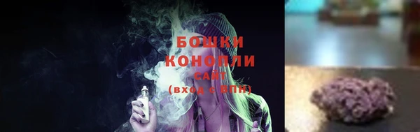 шишки Белокуриха