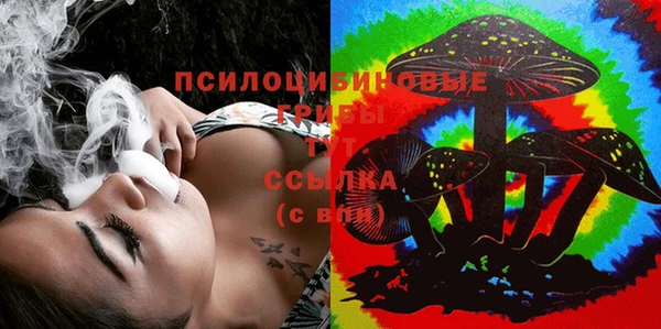 молекула духа Белоозёрский