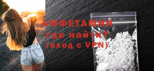прущие грибы Беломорск