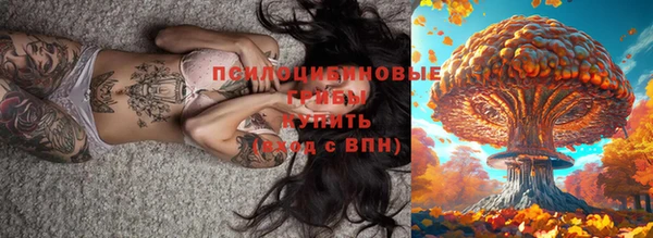 шишки Белокуриха