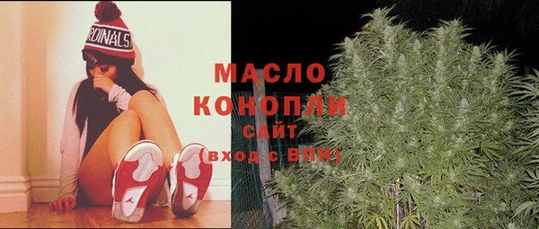 шишки Белокуриха