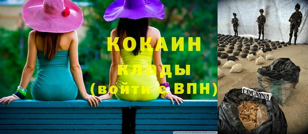 шишки Белокуриха