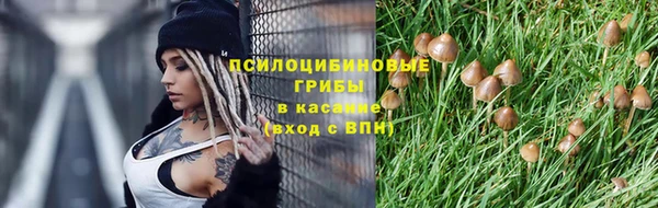 молекула духа Белоозёрский