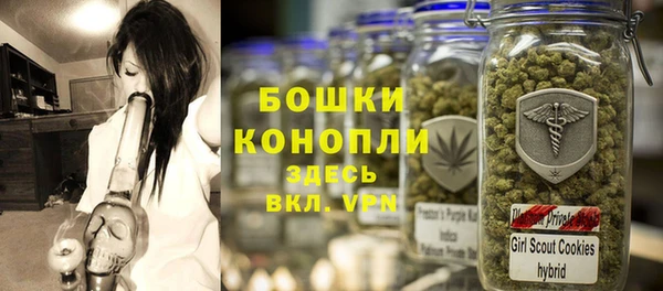 прущие грибы Беломорск