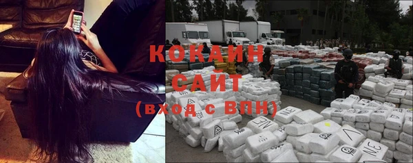 шишки Белокуриха