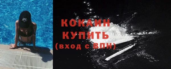 прущие грибы Беломорск