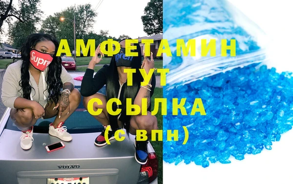 шишки Белокуриха