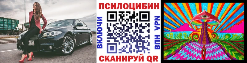Купить где  Любим  Псилоцибиновые грибы прущие грибы 